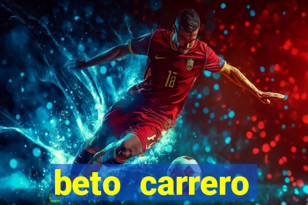beto carrero cidades proximas